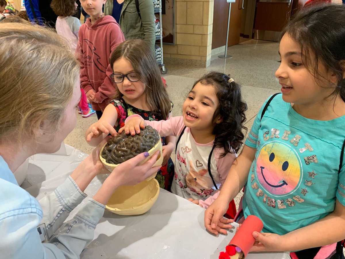 TraciSnedden's tweet photo. Jello brains, oh my!! 🧠 So much head injury knowledge shared at the #UWScienceExpeditions ⁦@UWNursing⁩ today! #BrainsMatter #SneddenLab https://t.co/go2g6zncC3