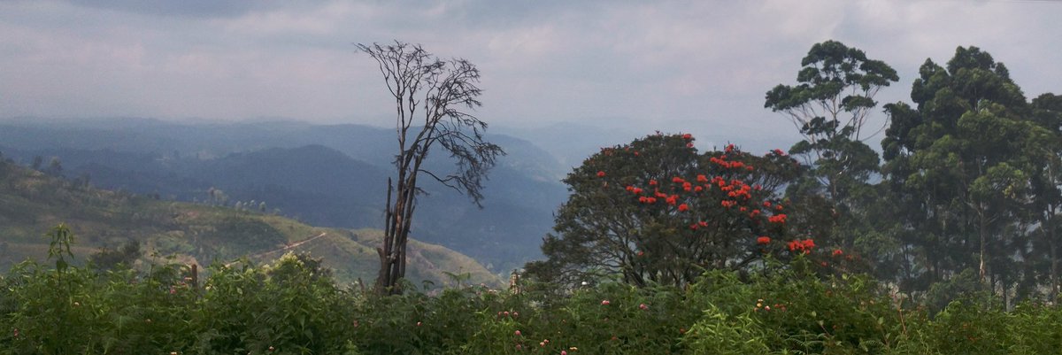 d1n3th's tweet image. පැය 10ක් විතර උඩරට මැණිකෙට පටකුඩ දෙක දෙක 😂 
#travelLK #SriLanka 👣💕