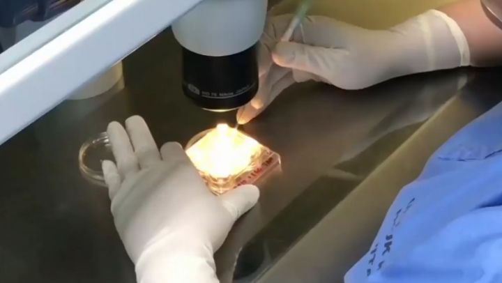 O Xrhsths Media Selangor Sto Twitter Kesihatan Persenyawaan In Vitro Malaysia Dalam Kedudukan Yang Setara Dengan Negara Lain Dalam Teknologi Persenyawaan In Vitro Ivf Dengan Capaian Kejayaan Lebih 30 4 Buah