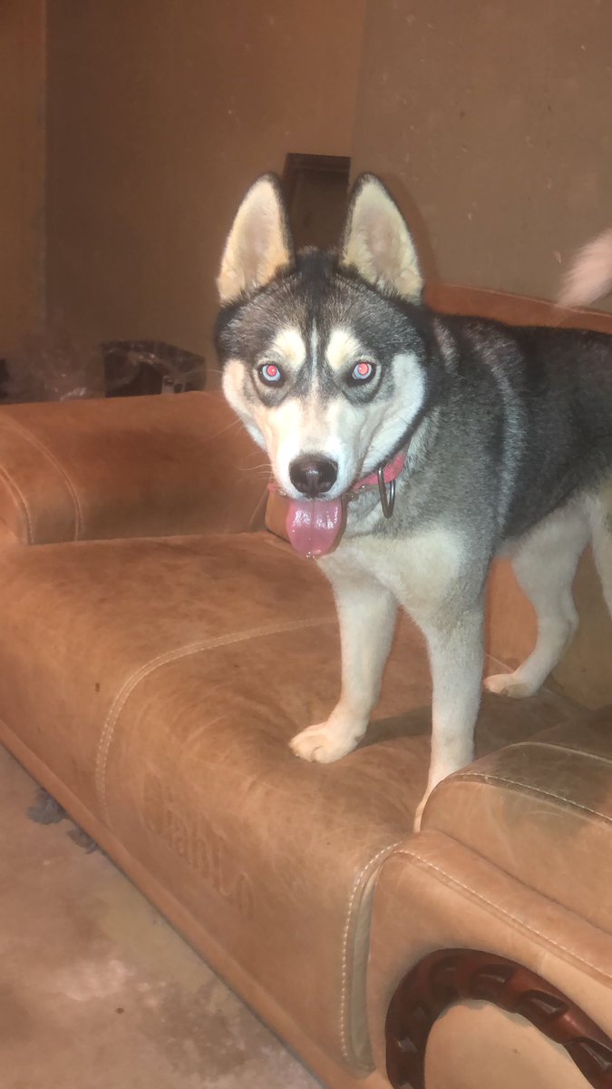 Sacksmooth's tweet image. Go to bed