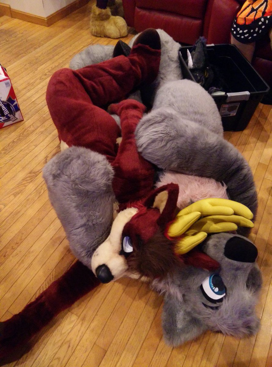 HugWuffPlush's tweet photo. I'm noticing a theme. https://t.co/SBLNOAKpcb