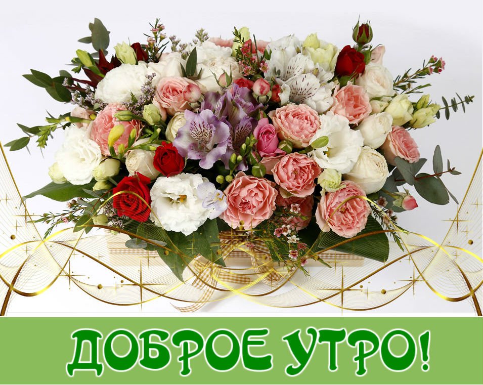 Доброе утро, друзья!