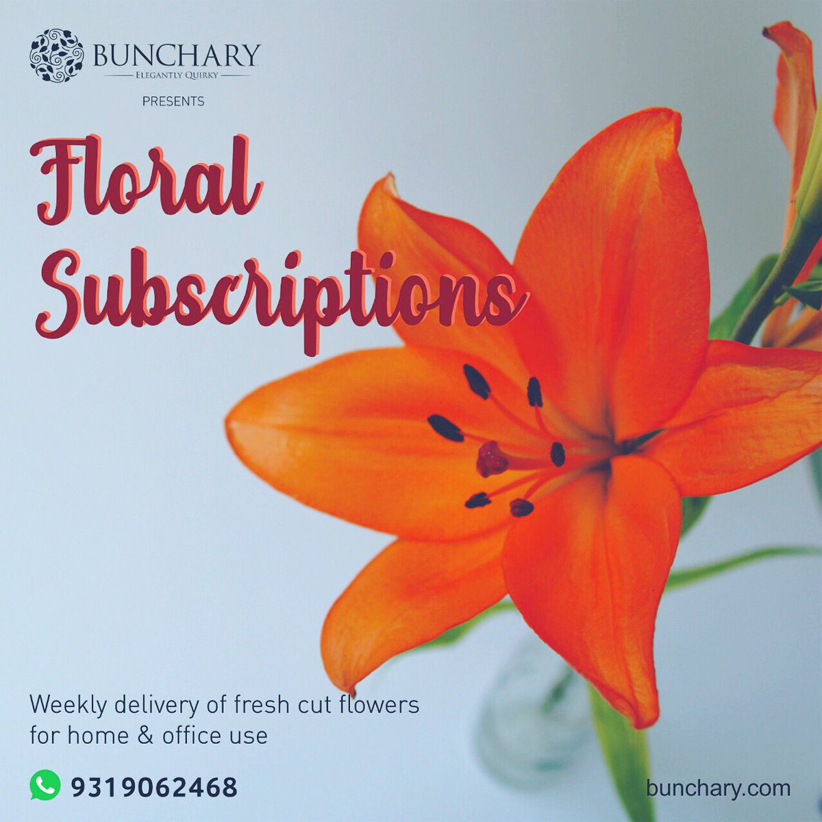 bunchary's tweet photo. Brighten up your day, every day!
Flower subscriptions starting at Rs.1000 for four delightful deliveries!
Currently serving South Delhi &amp; Noida only!
To know more Call, SMS or WhatsApp: 9319062468
#southdelhi #defencecolony #panchsheel #augustkrantimarg #greenpark #gulmoharpark https://t.co/Ntux8IDAWO