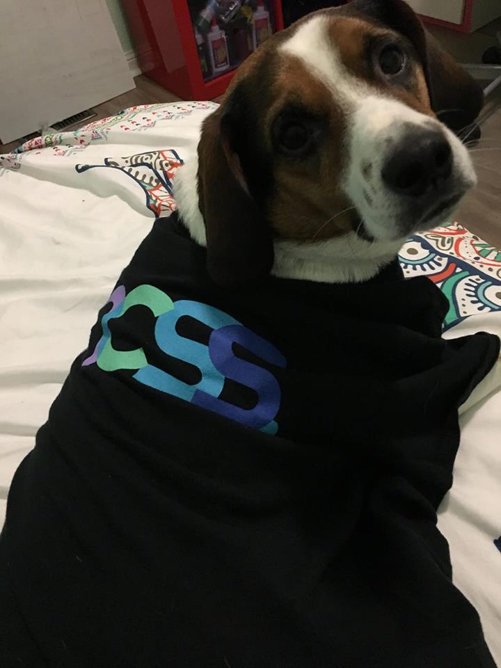 utmmcss's tweet photo. our mascot wishes you good luck on your exams https://t.co/uEE0afzTna