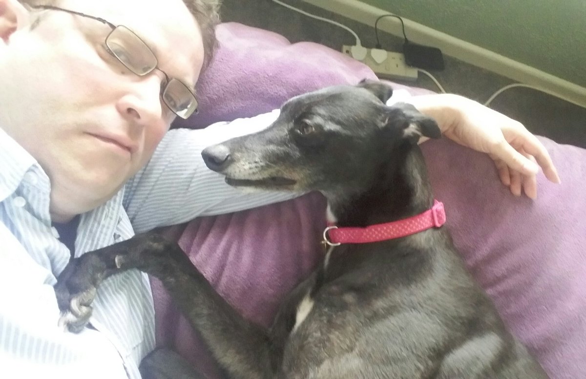 mevsocsci's tweet image. We were walking down the road the other day and a complete stranger came up to me and said 'excuse me, is that Maireads Ivy?'. 4 months into retirement - still the most recognisable greyhound in the country @HoveGreyhounds @Crayforddogs @JulieCollierTV @Hobbsy67 ❤ Bent nose!