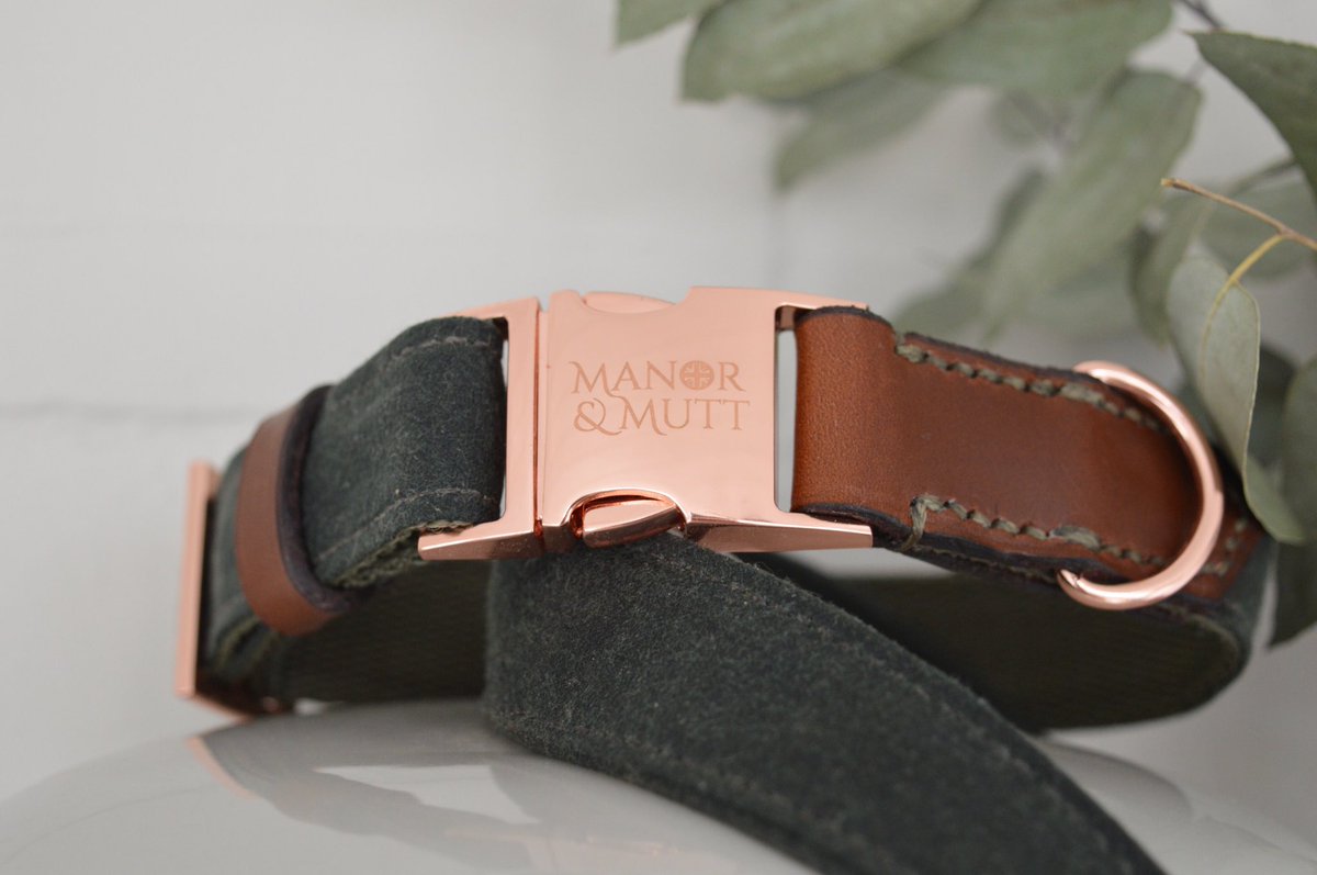 manor_mutt's tweet photo. Hope everyone had a great weekend! Our week has got off to a busy start already. Orders made 💪🏻and now at the post office... in a rather long queue 🤨 
Featured here is our gorgeous Eaton Collar 😍
#dogcollar #leatherdogcollar #waxcotton #waxjacket #countrydog #farmdog #dapperdog https://t.co/SDEVO3r7u2