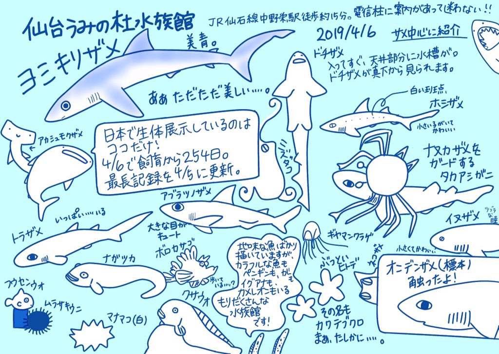 水族館イラストまとめ 19 Twitter