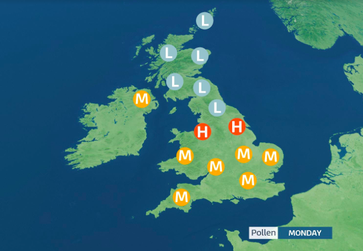 Lauratobin1's tweet photo. 🤧#Hayfever alert
🌳🌳🌳🌳🌳
HIGH-NW England, Yorkshire &amp; Humberside
MODERATE-N Ireland, Wales &amp; S Half of England
LOW-N England &amp; Scotland
🌳🌳🌳🌳🌳
Tree #pollen season-Birch, ash, willow, plane and oak pollen will be airborne.
Lasting all week
@GMB 
#EyesStreaming #Achoo https://t.co/OqtFmZNlVe