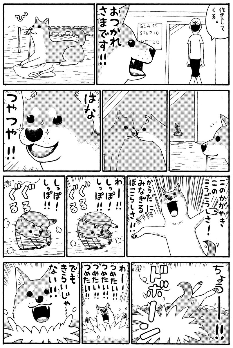 今日は柴犬の日らしいので、9年前に描いた同人版のいとしのムーコを。連載用に描いた第1話(https://t.co/AqNLmTdJdr)と比べてみてください! #柴犬の日 