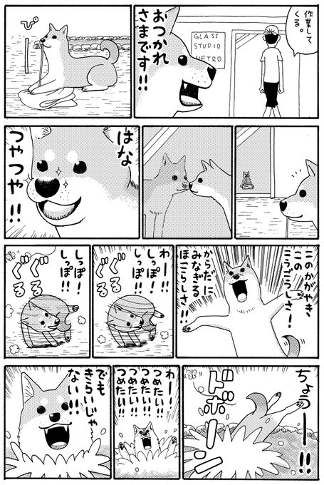 今日は柴犬の日らしいので 9年前に描いた同人版のいとしのムーコを 連載用に描いた みずしな孝之の漫画 今日は柴犬の日らしいので 9年前に描いた同人版のいとしのムーコを 連載用に描いた みずしな孝之の漫画
