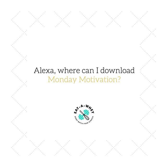 EatAWhey's tweet photo. Alexa responds - Drink your ☕️, put on your sassy pants and BRING IT ON. That’s Monday Motivation.
💯
☕️
💯
#alexa #humour #mondayquotes #mondaymotivation #monday #mondaymood #gymmotivation #eatcleantraindirty #hustle #mondaymorning #fitnessaddict #bad… https://t.co/XarxjQ5PkK https://t.co/hhZDizoKK7