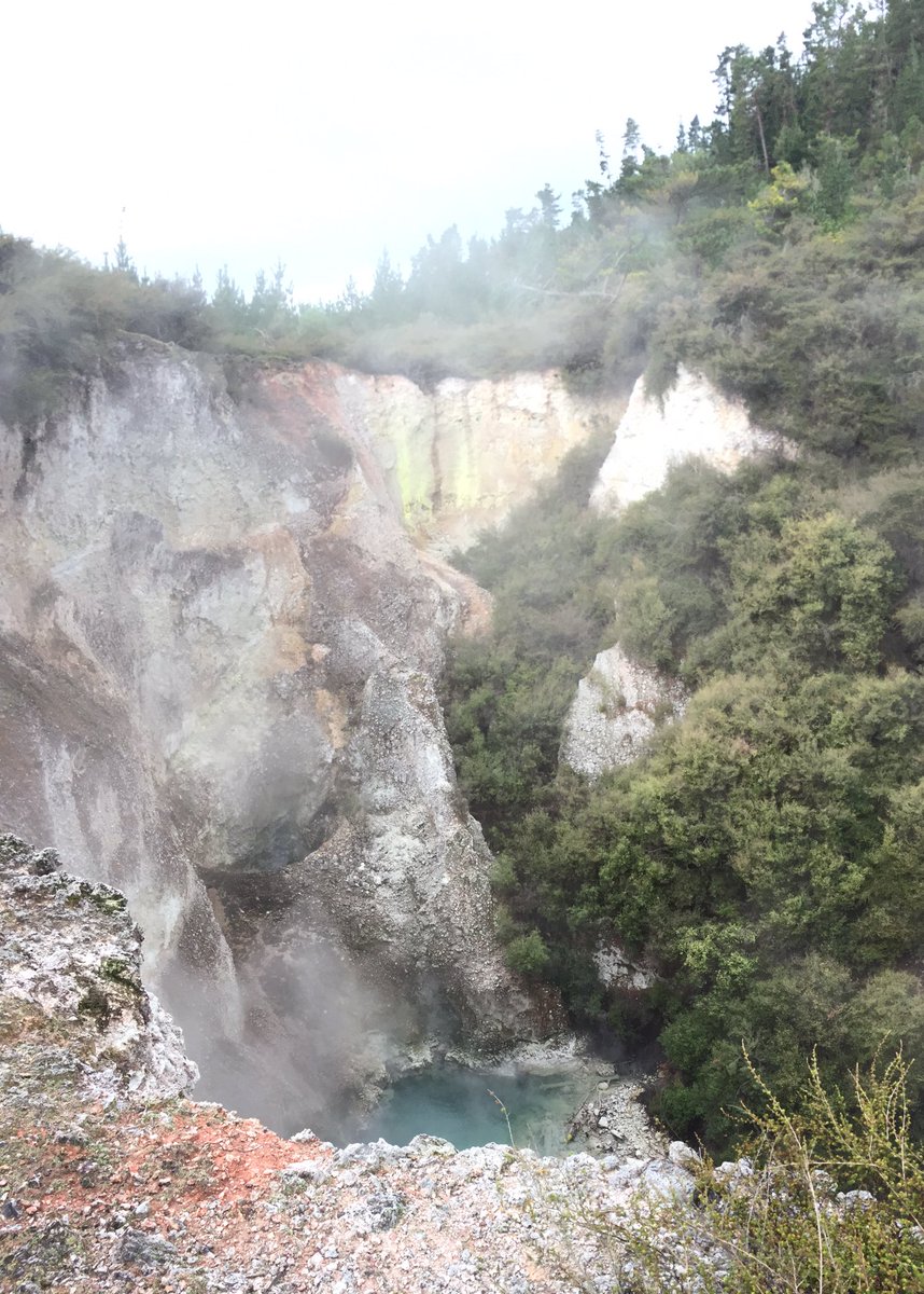 Tyranakisaurus's tweet photo. Every day at #Rotokawa brings new discoveries. Today, a little bit of exploring with @scronin70 and @CMontanaro81 brought us to some lovely craters, A-Hole, B-Hole, and C-Hole, with bubbling water and alteration galore. #ILikeHoles #HoleyMoley #HoleInOne #TheHoleKitAndKaboodle https://t.co/DY1hQUI6Yb