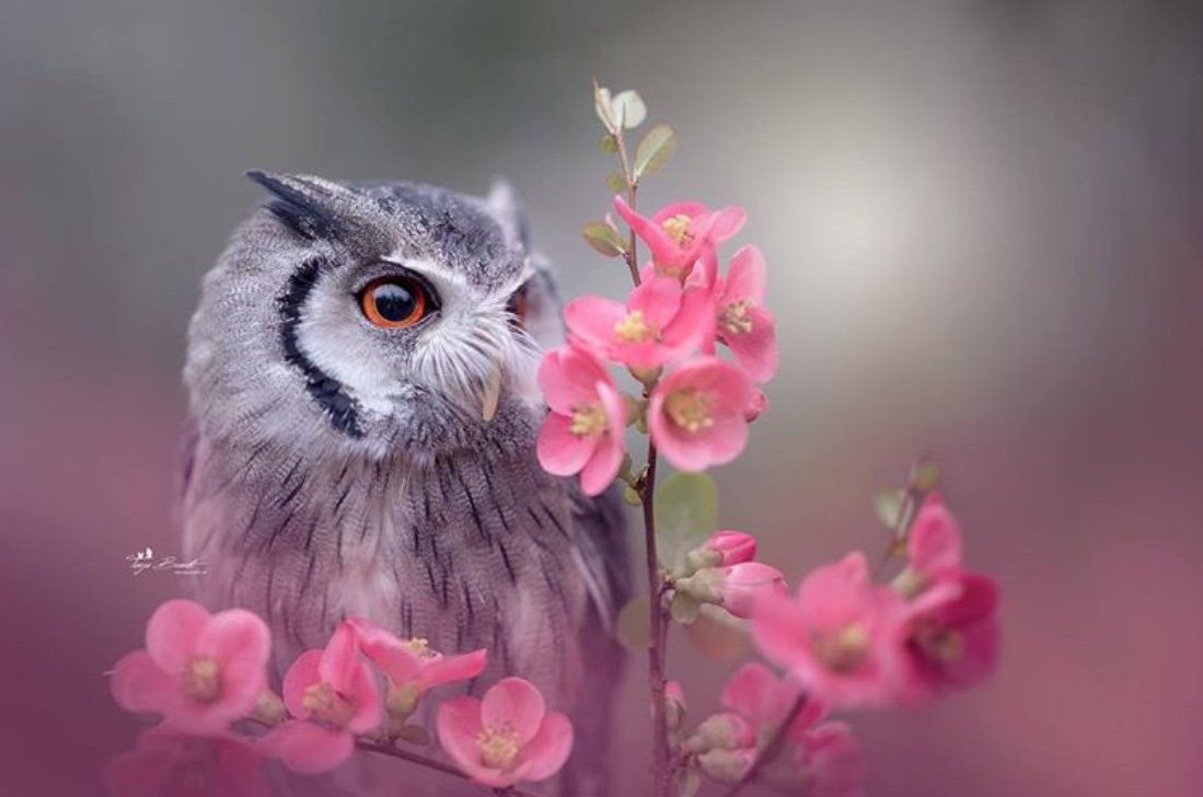 Happy Monday everyone.
Wishing you all a wonderful new week 😊

Pic Tanja Brandt