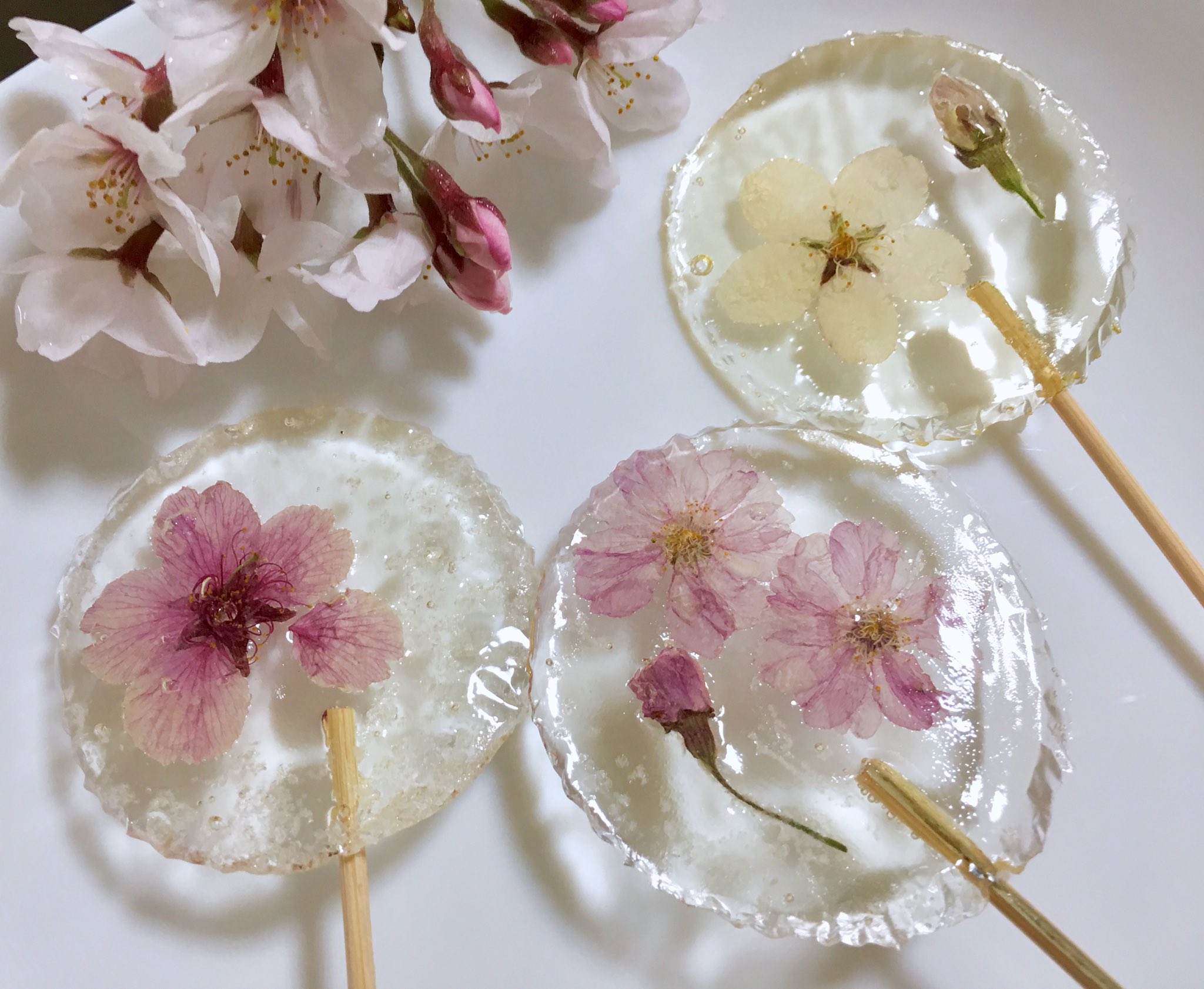 Inori 桜の花でロリポップキャンディを作りました グラニュー糖大さじ1 水小さじ1をアルミカップに入れ てホットプートで加熱します 色が黄色くなりはじめたら まな板などの上に取り出し 花を置き 竹串も載せて 冷えたらアルミカップを剥がして