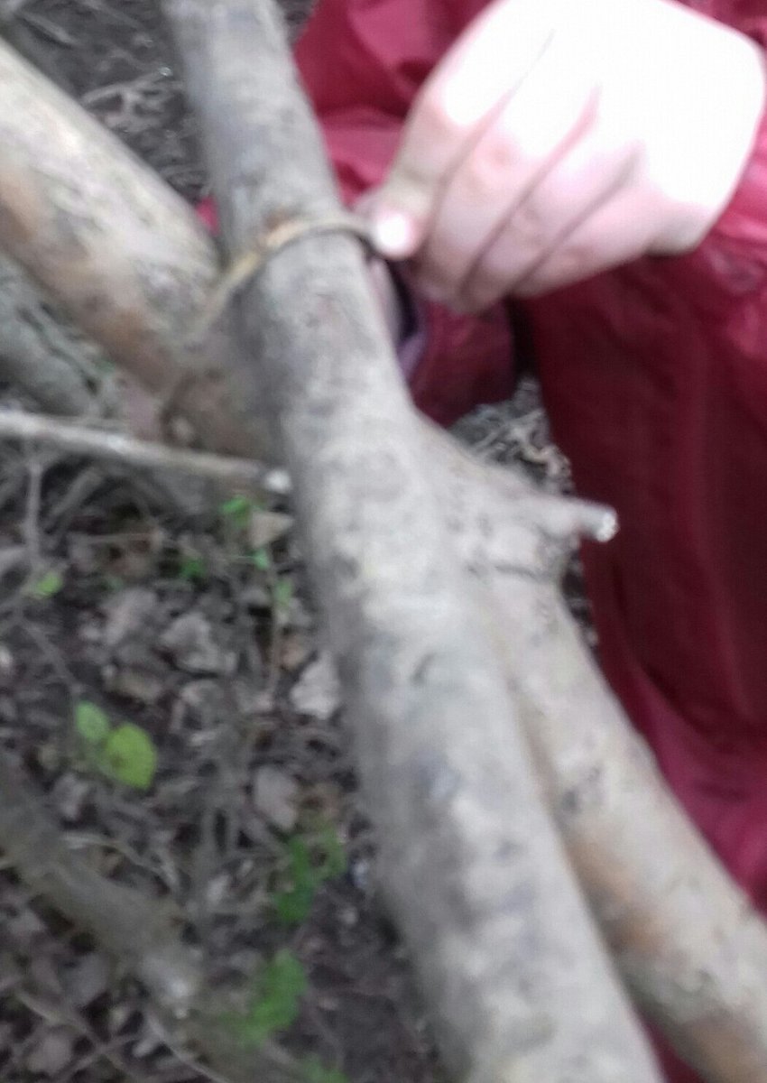 EnquiryTeam's tweet photo. Learning how to build, attach, support using only natural materials...in a #TeamEnquiry style. #facilititator #warmthometer https://t.co/GLLFqaxfUu