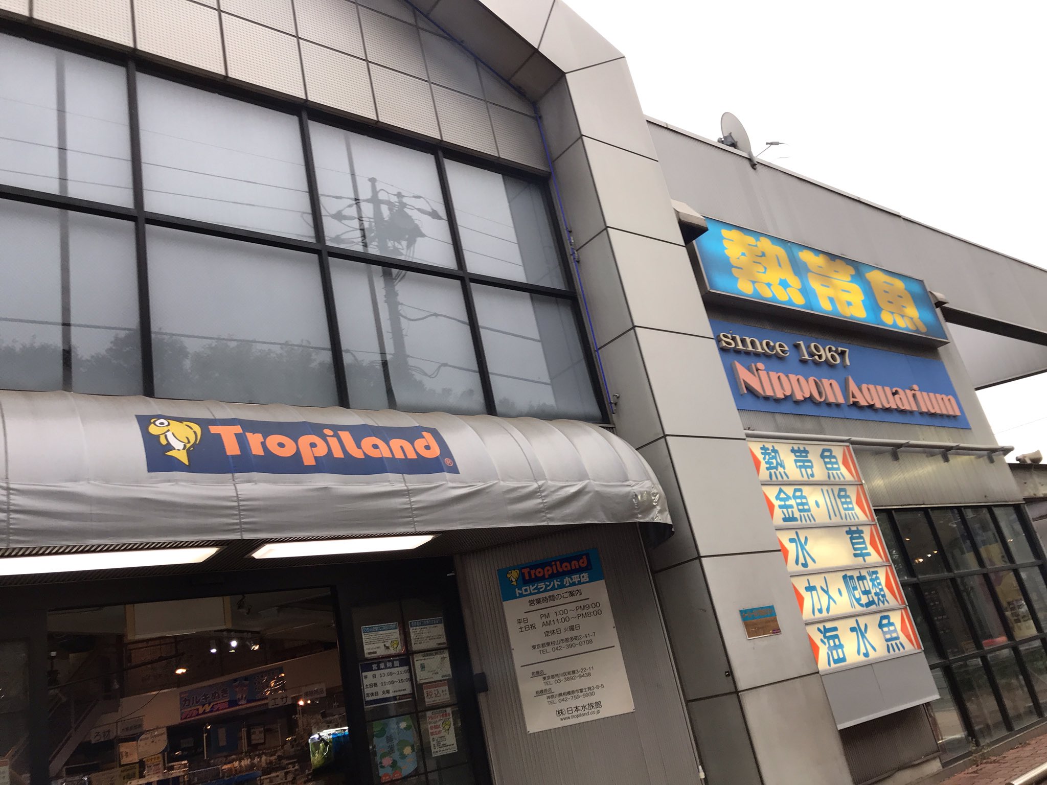 Kovajuai 到着 トロピランド小平店 T Co F32ojdz03n Twitter