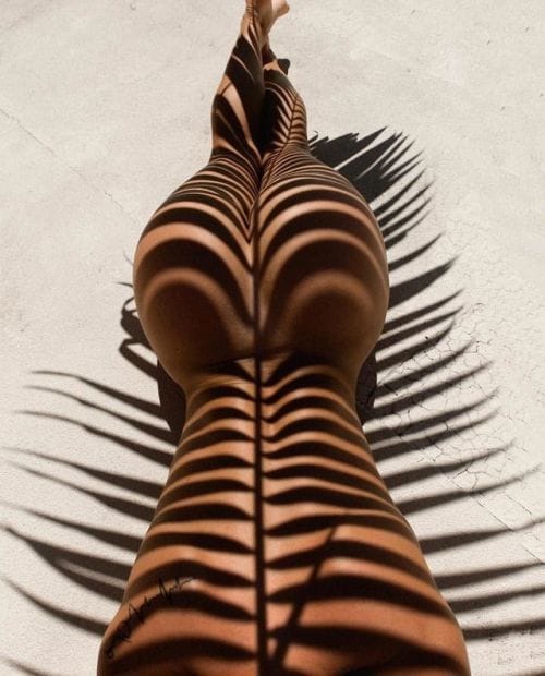 Sanat var