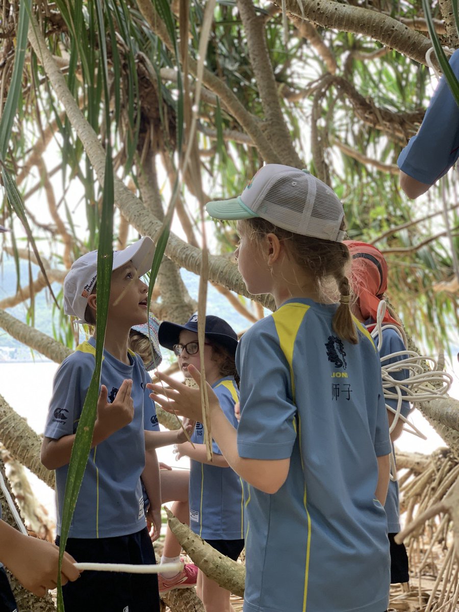 Phew - we’ve built some shelter just in time for bed! #Year4Camp