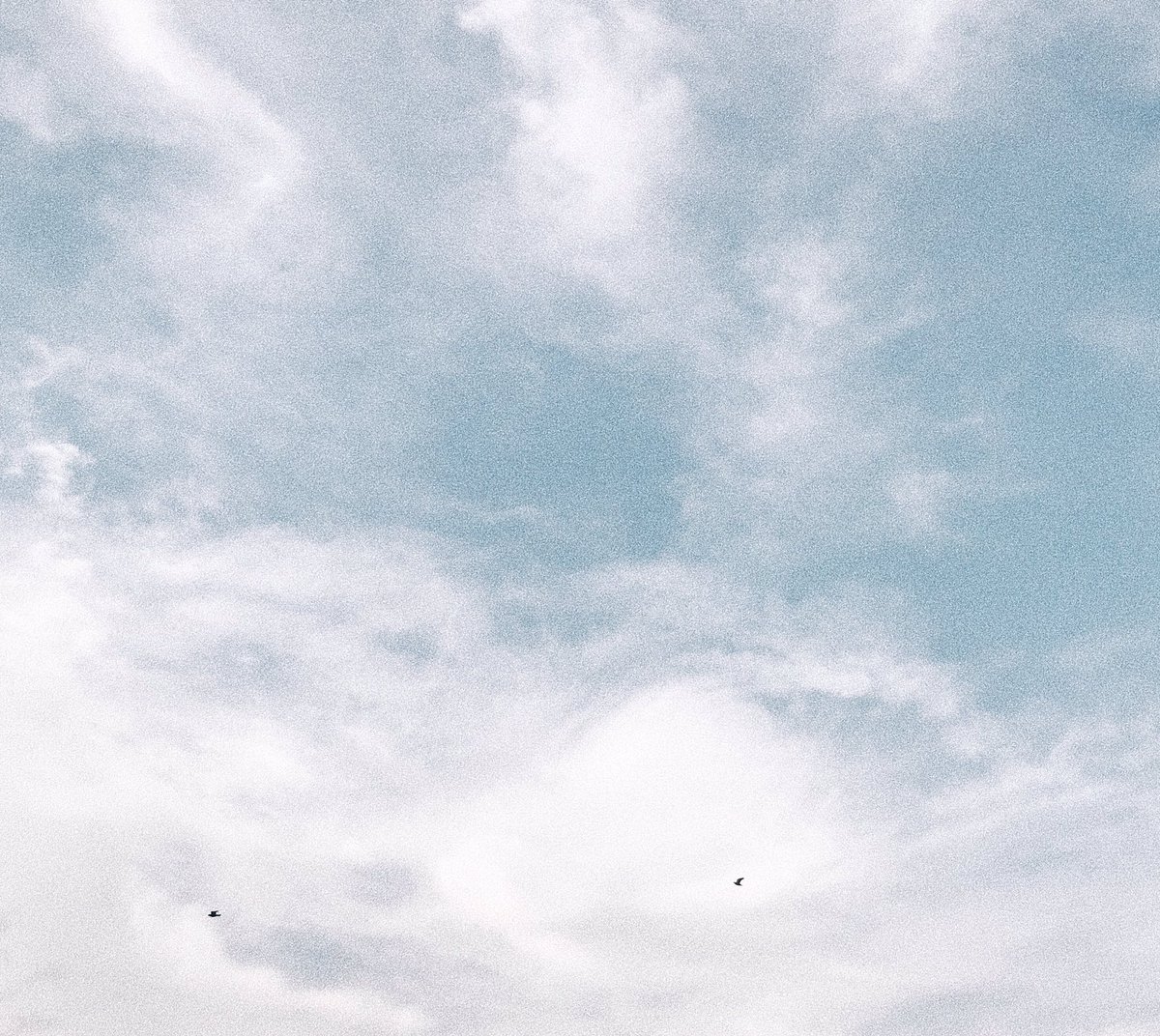 —𝘭𝘰𝘯𝘨𝘵𝘪𝘫𝘶𝘥𝘦 tweet media