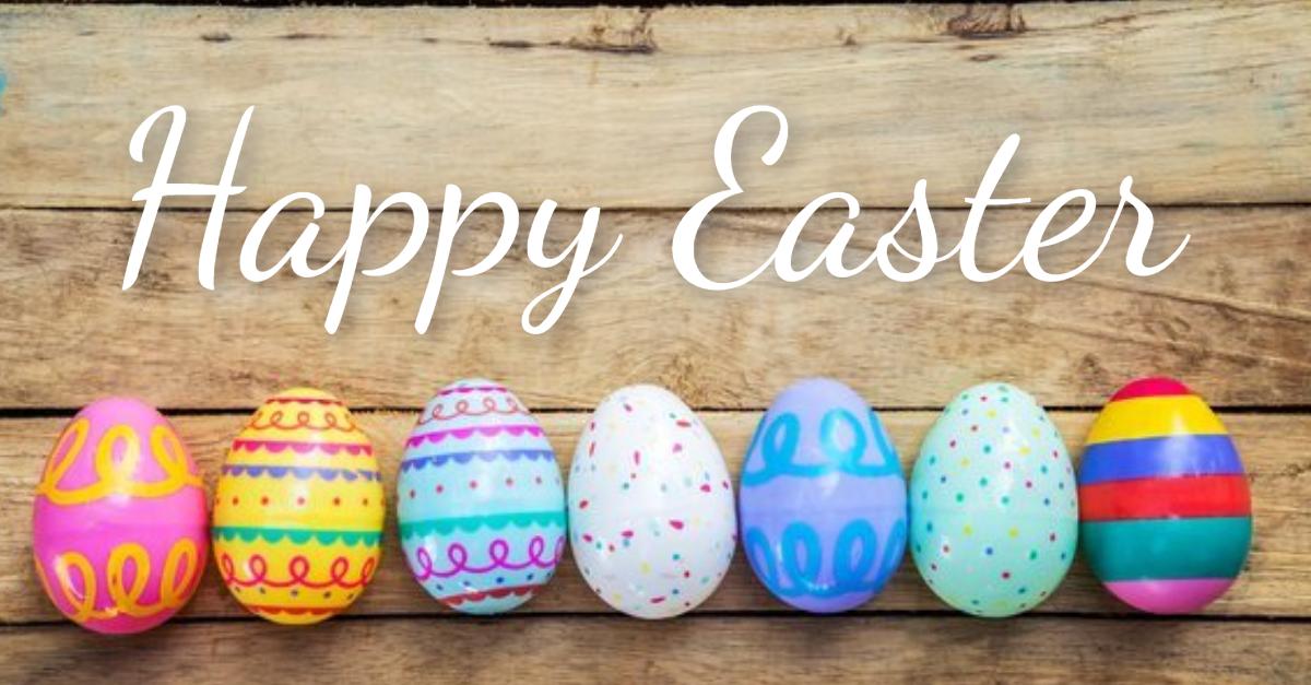 Zuidam UK Ltd tweet media