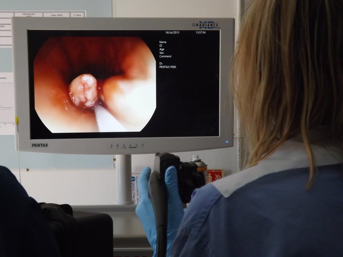 EYSETRAINING's tweet image. Clinical &amp;amp; #Nurse #endoscopists looking to consolidate and reinforce your practice on #polypectomy or #uppergibleeding   #safepractice #knowledgeispower - #JAG accredited courses @Dunkleyi @BSGNurses @RCNGastro @RchtE @SalfordEndosco1 @MusgrovePark