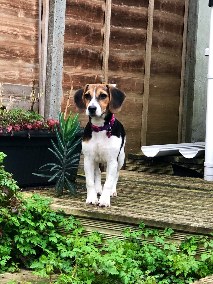 Charlotte Clarke UK tweet media