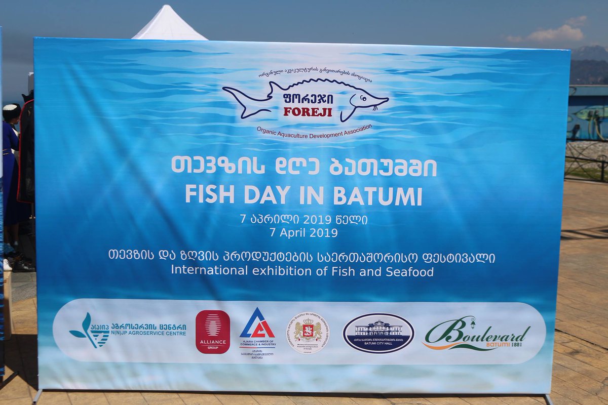 BatumiCC's tweet photo. Batumi Fish Festival 2019 https://t.co/HkXGhjmrIw