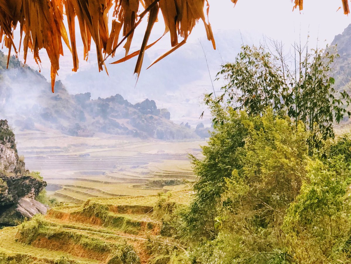 I love waking up to this beautiful view of rice terraces and clouds. How about you?
