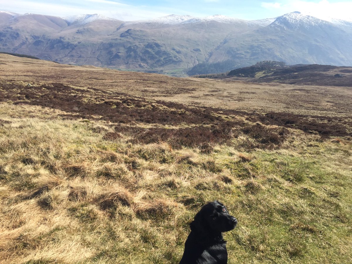 Hursty1050's tweet photo. Great day up Armboth Fell and High Tove in the #LakeDistrict #Wainwrightfells #Cumbria https://t.co/eYpohbHRuA