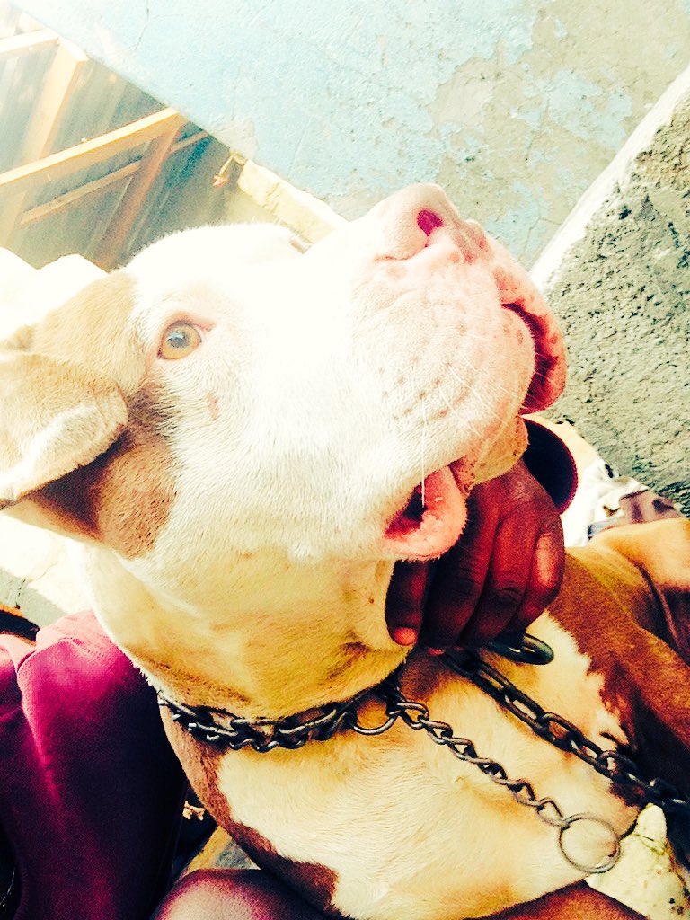 Dricko Owens (@dricko_owens) on Twitter photo 