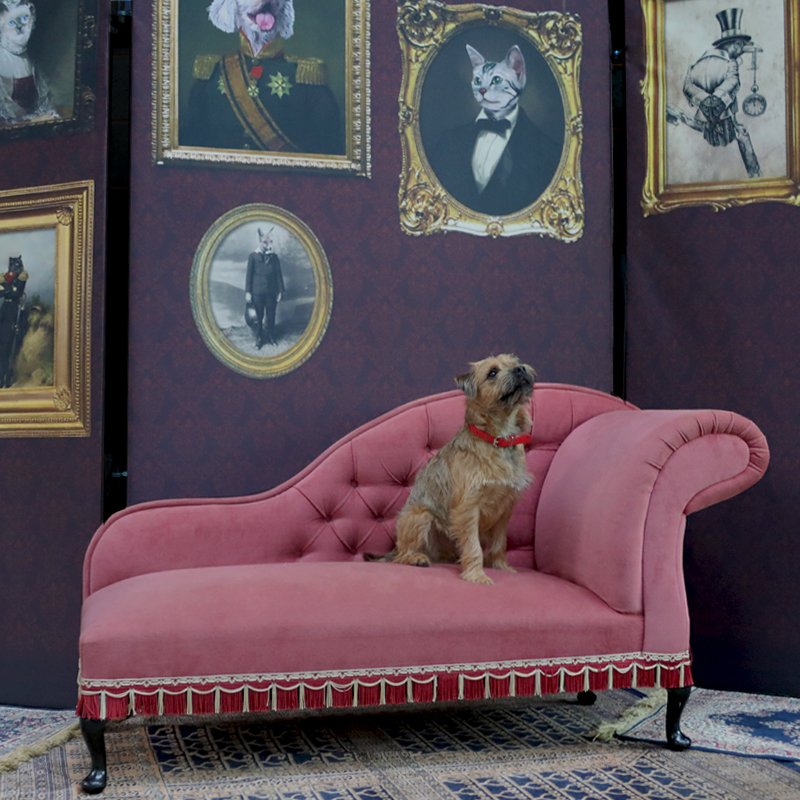 The_PropFactory's tweet photo. Our Pink Chaise Lounge and Victorian Animal Painting Panels with a handsome pup! Love the images we can create with our unique range of event decor! #thepropfactory #eventhire #props #eventdecor #events #eventplanner #stylist #vintagefurniture #vintageprops #ukevents #partyhire https://t.co/bCFKtwqooa