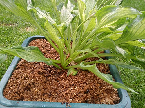 slug_less's tweet photo. SlugLess Spring Sale is now on - BUY 10L Bag - GET 10L FREE - use code 'spring' https://t.co/bS0pNzCTOO https://t.co/1kK9sSn0im