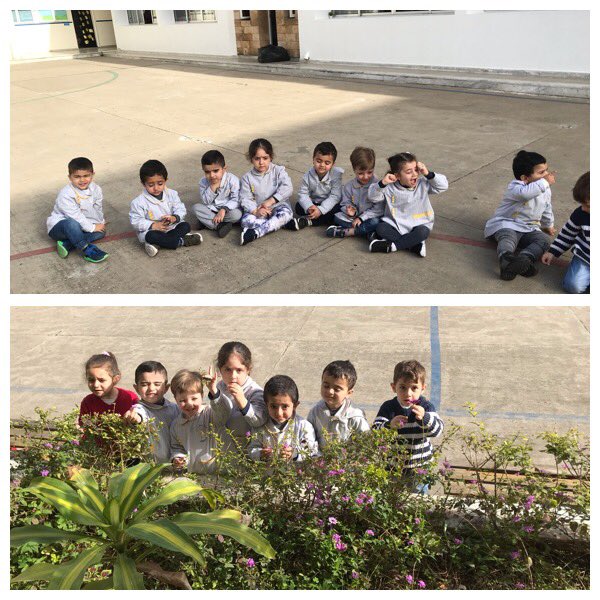 rovina_fodda's tweet photo. It’s sunny it’s sunny..the sky is full of sun #KG1B learners enjoying the sunny weather #discussion_about_spring_season #circle_time #spring_season #spring_vibes @DawhaHighSchool @FThaalby @Ghania25060931 https://t.co/NOjbyYoTpe