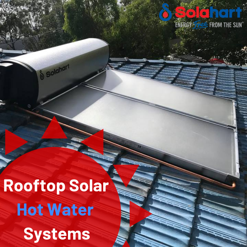 SolahartE's tweet image. Rooftop Solar Hot Water Systems | Solahart Brisbane South East

You will save money with free energy from the sun! Call us today on (07) 3390 1590

solahartbse.com.au
#solarhotwaterredlands #solarenergyproviderwynnum #solarpowerinstallation #solarhotwater