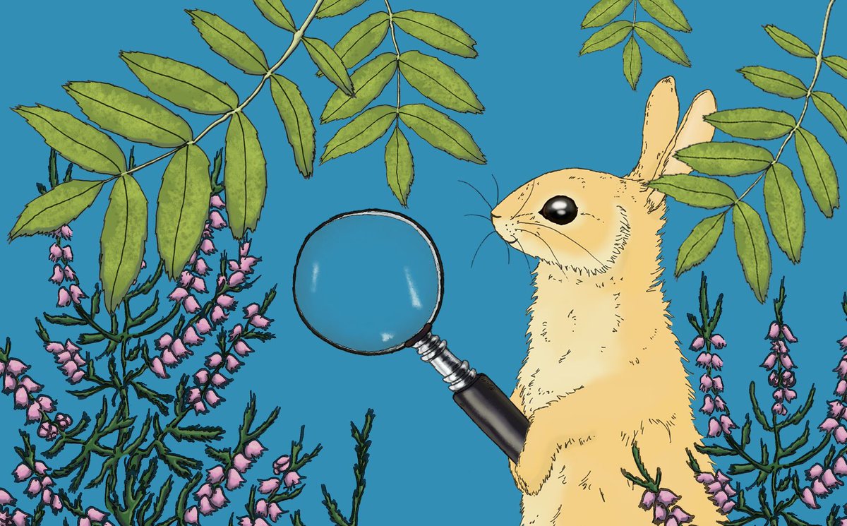 TheBotanics's tweet photo. #EdSciFest and the #BotanicsBunny Easter Trail have officially started! This week join us @TheBotanics  for walks, talks, arts, crafts and more. With events every day there's plenty to keep you busy this Spring Holiday! To find out more  visit 👉 https://t.co/e4KFtLnZlI https://t.co/dEzqj7PHja