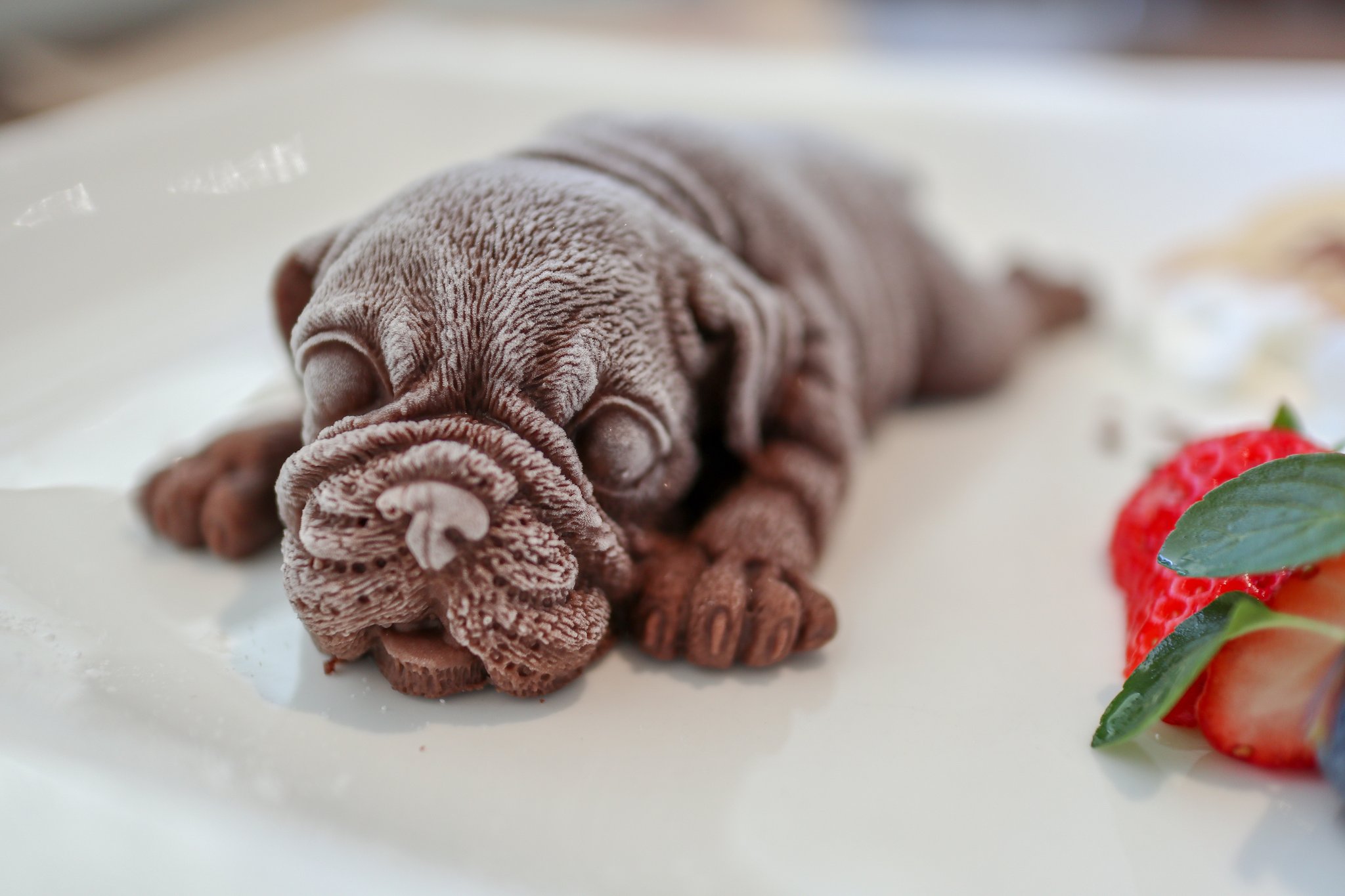 Twitter এ むーこ 小松 Bridge リアルすぎる犬アイスがほんとうにリアルすぎました 日替わりランチは牛肉のラグーソースパスタでした T Co Qvmatspklm ট ইট র