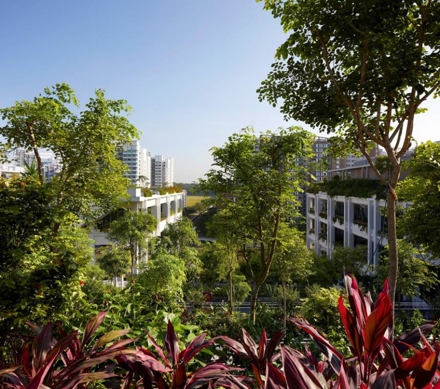 cyberarchi's tweet photo. A Singapour, Série Architects et l’agence Multiply Architects viennent de terminer un projet remarquable, Baptisé « Oasis Terraces », une polyclinique réalisée pour fournir les principaux équipements publics aux résidents du quartier de Punggol https://t.co/d7prKBKJwD https://t.co/gXluObLINO
