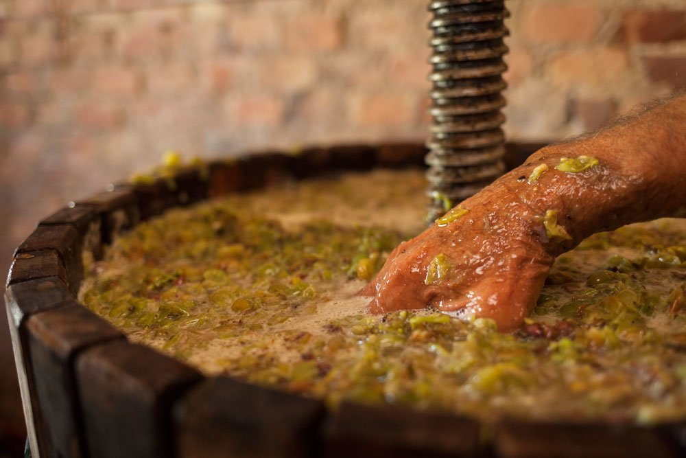 Pimecava's tweet photo. A través d'un #premsat suau, obtenim el most flor. En l'elaboració del #cava, les diferents varietats es premsen i vinifiquen per separat. Després de la primera fermentació, es fa el #cupatge. #territoricava https://t.co/JFOKVRfpyb