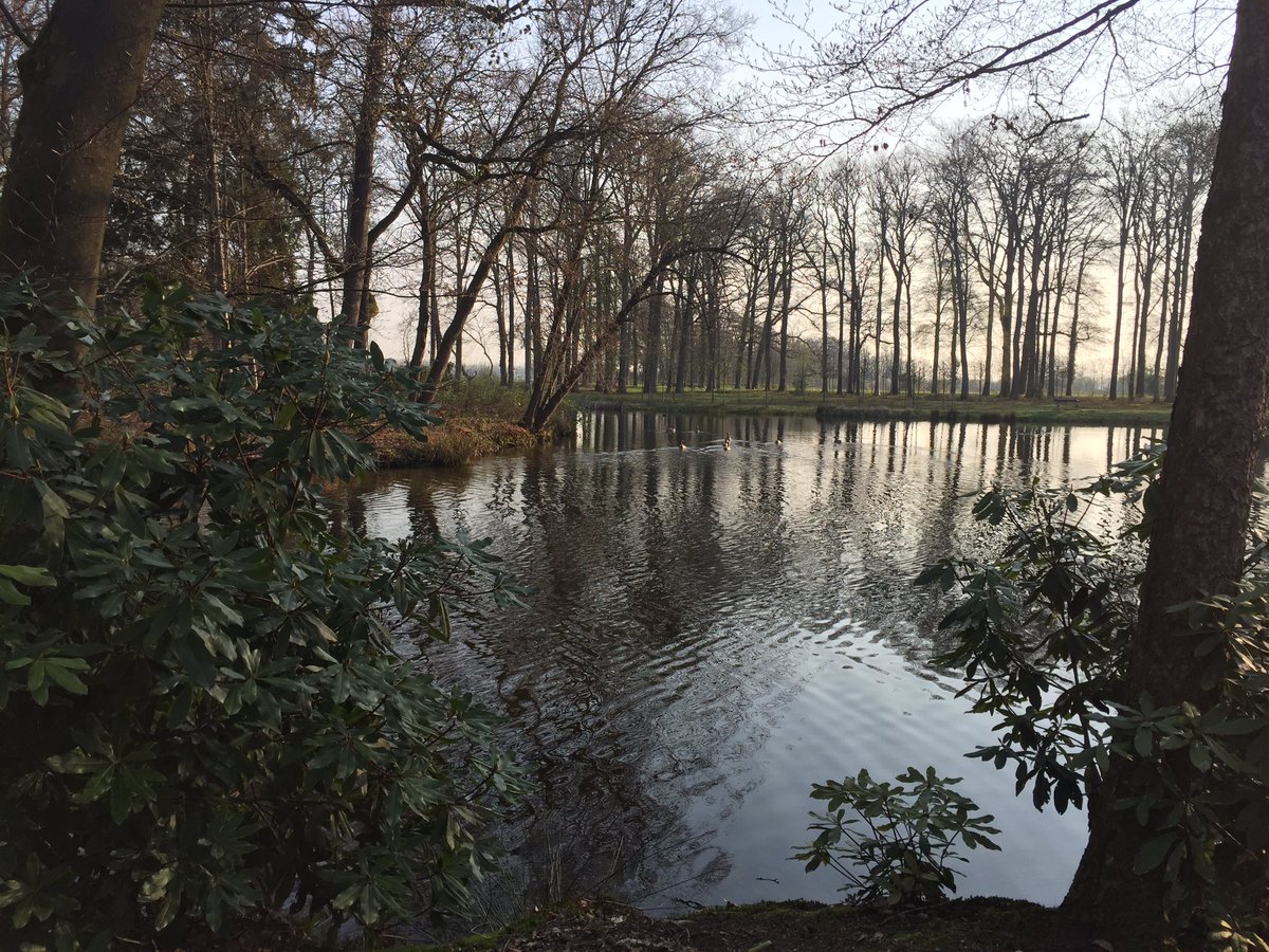 Landgoed Voorstonden bij Brummen. Prachtig natuurmonument. Zeker om 08.00 uur!