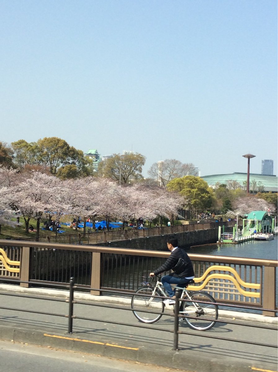 OsakaWonder's tweet photo. Lots of people in #Osaka now to see the #CherryBlossoms! Come see the city from the streets with #OsakaWonderLoopBus! https://t.co/yCZgRBwE0D

#sakura #opentopbus #hoponhopoff #loopbus https://t.co/gAkczGR28E