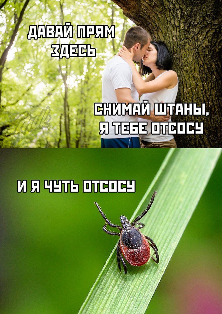D3nxyXnW4AAkZUj?format=jpg&name=medium