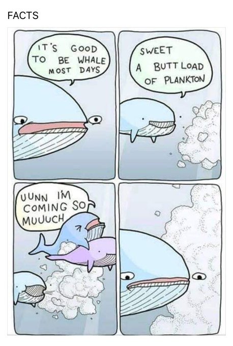 Bahahhaa #CEI #funnysexjokes https://t.co/hgDUYudt9C<a href="/tag/cei"class="tags">#CEI</a><a href="/tag/funnysexjokes"class="tags">#funnysexjokes</a>