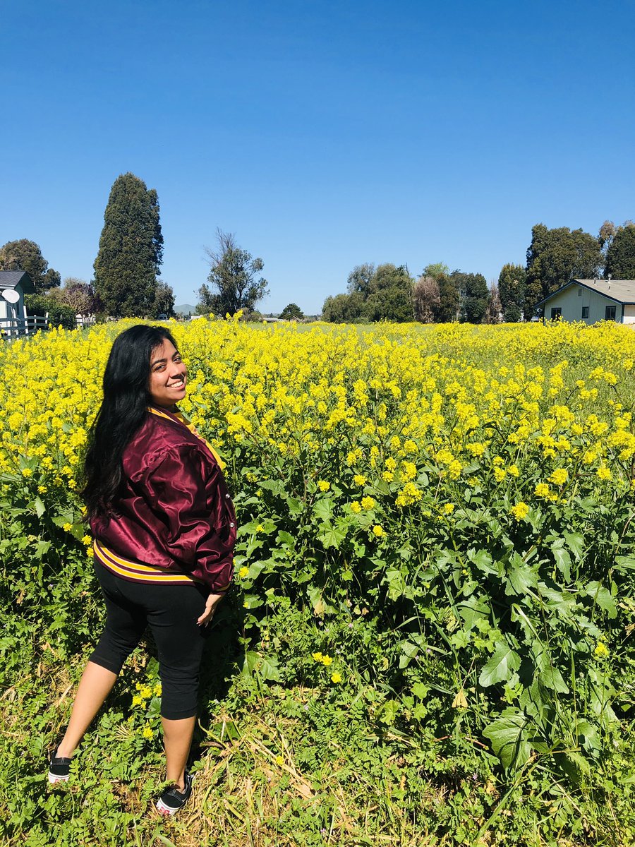 R1DER_15's tweet image. Yellow does something to my soul ✨🌼🥰 #Springbreak2k19 #Fresno #Florida