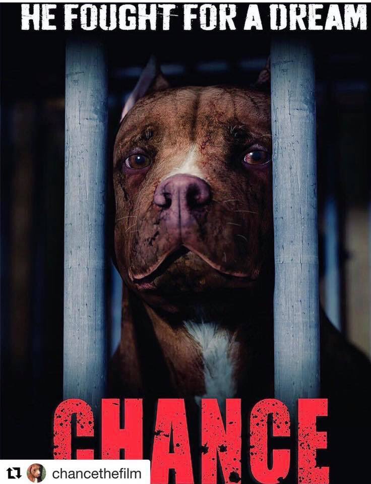 Today is National Dog Fighting Awareness Day. We unite to fight against this ugly world of evil. Tonight and this week, Chance is playing at NOHO 7
Tickets: laemmle.com/films/45465
7:45 tonight filmmakers attending
5240 Lankershim Blvd, N. Hollywood
**Share to get the word out!**