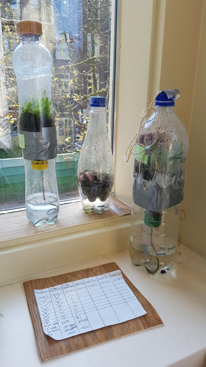 Ecosystemen bouwen die zichzelf in stand houden. Een paar weken verder en nog steeds in leven!
#sustainable #ecosystem #AMOS_unIQ <a href="/BsVlinderboom/">Bs de Vlinderboom</a>