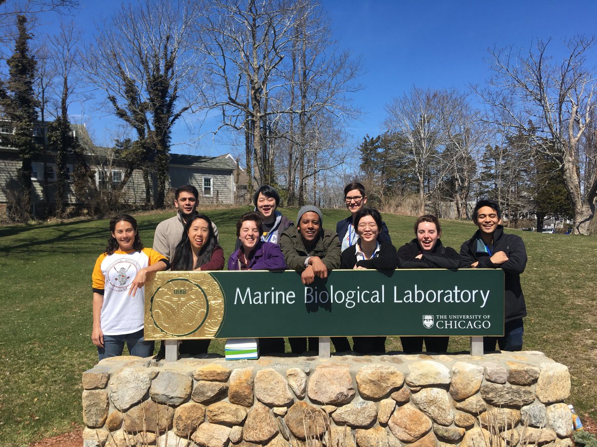 skmcmena's tweet photo. @mcmenaminlab at #NESDB2019! https://t.co/0K3Mpj1Tto