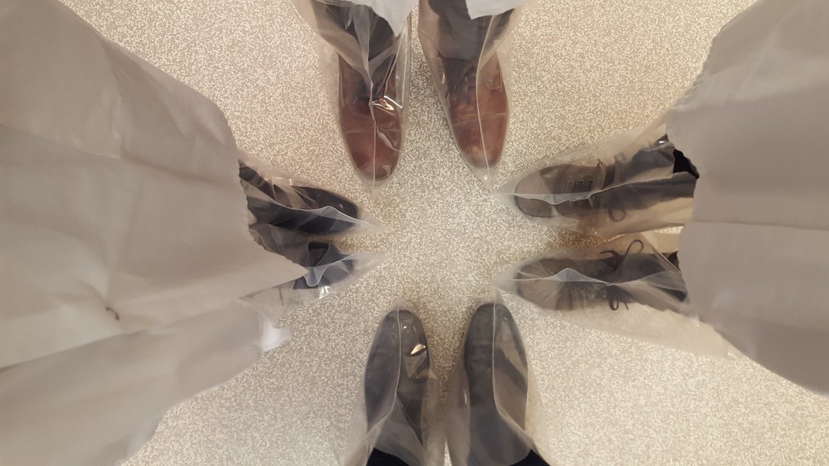 WPG_Squirrels's tweet photo. Squirrel squad is ready for necropsies!
(..can we keep these for going outside? #MudSeason #WinnipegSpring) https://t.co/eYvehu85ON