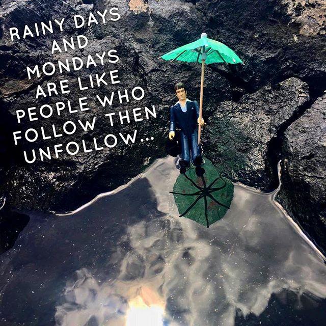 tonymontiny's tweet photo. They fucking suck 😆🖕🏼😎 #tonymontiny #instamood #monday #morning #rain #picoftheday #selfie #art #nofilter #friends #instasize #followme #igers #get #instalove #and #sayhellotomylittlefriend https://t.co/95VBhNxEoE
