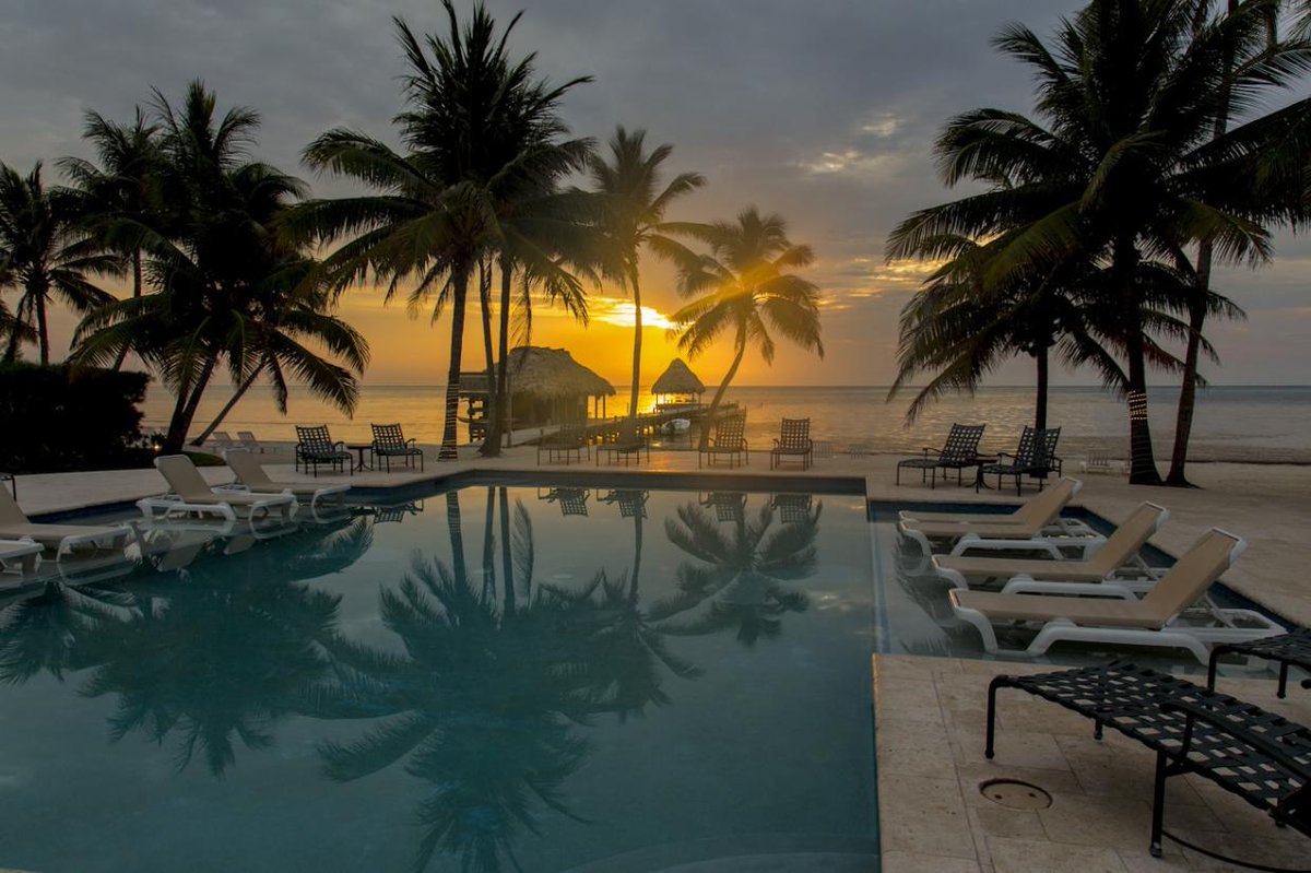 LANDED Travel tweet media