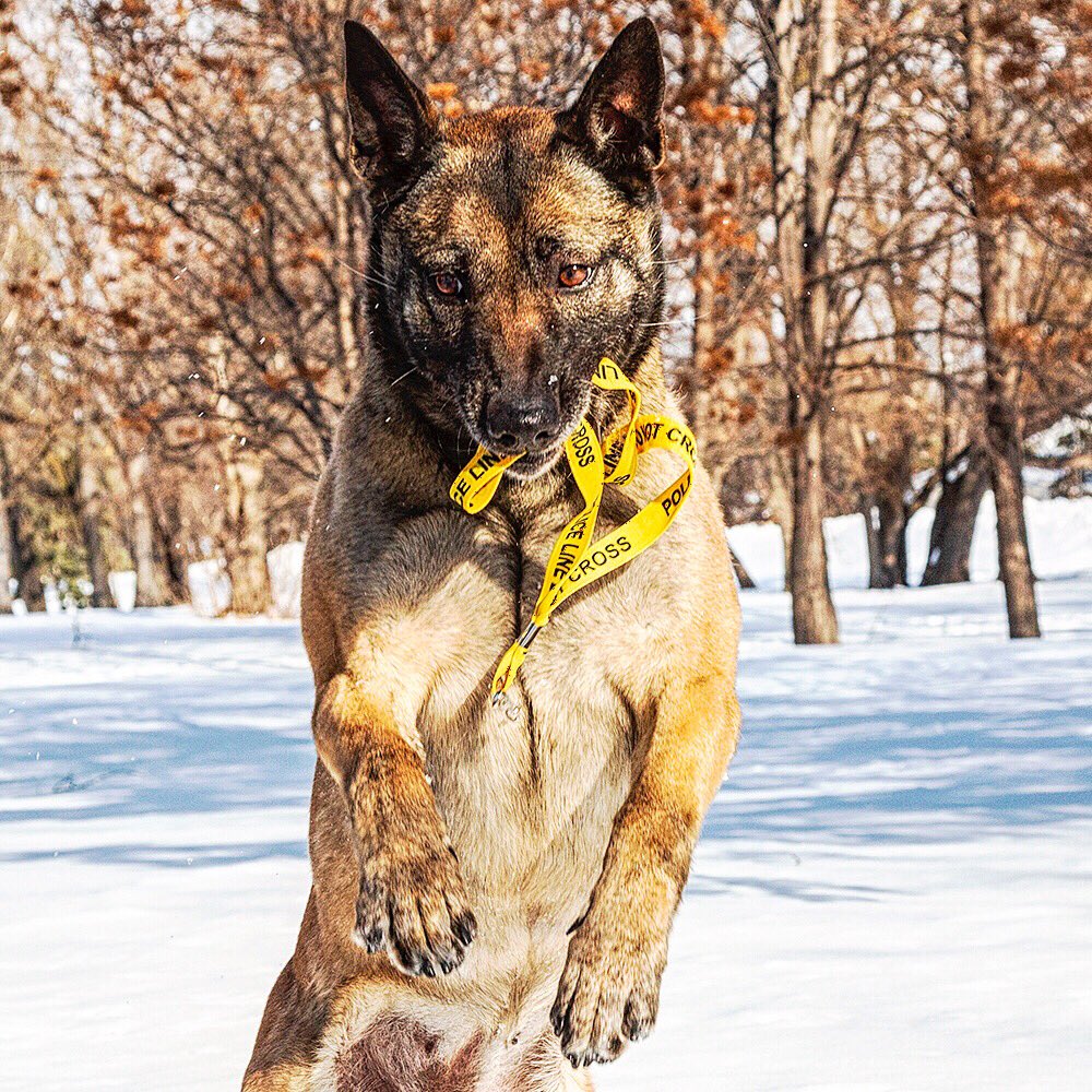 We are currently selling Police Line Do Not Cross lanyards for $5.00 ea! Or apply for a WPCU MasterCard today and receive a free lanyard!
Lanyards are available at both of our locations. All proceeds from the sale of the lanyards go towards the Winnipeg Police Museum. #winnipeg